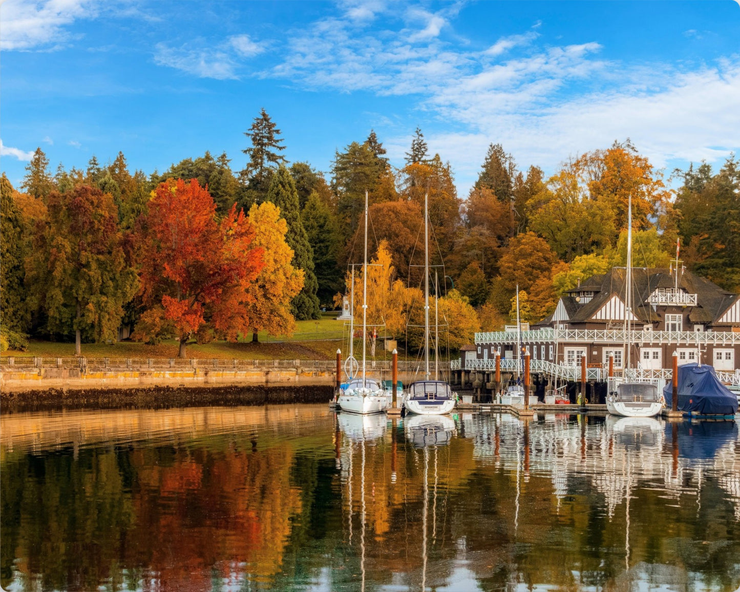 Vancouver Fall Foliage Photography Print | Metal, Canvas & Paper